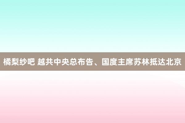 橘梨纱吧 越共中央总布告、国度主席苏林抵达北京