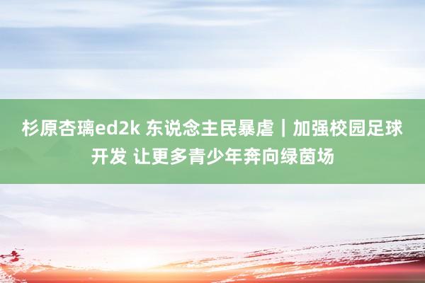 杉原杏璃ed2k 东说念主民暴虐｜加强校园足球开发 让更多青少年奔向绿茵场