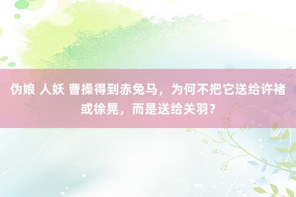伪娘 人妖 曹操得到赤兔马，为何不把它送给许褚或徐晃，而是送给关羽？