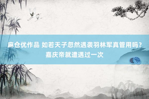 麻仓优作品 如若天子忽然遇袭羽林军真管用吗？嘉庆帝就遭遇过一次