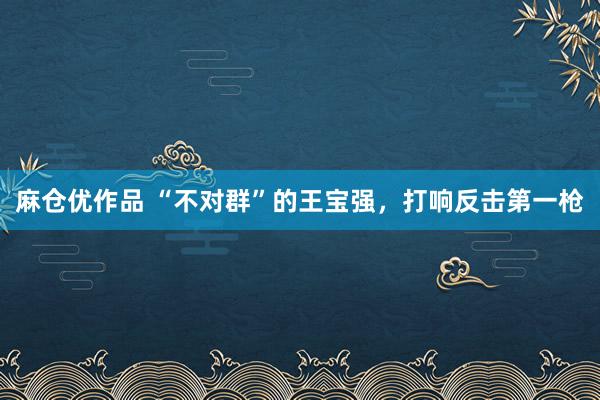 麻仓优作品 “不对群”的王宝强，打响反击第一枪