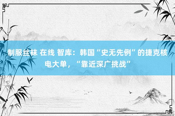 制服丝袜 在线 智库：韩国“史无先例”的捷克核电大单，“靠近深广挑战”