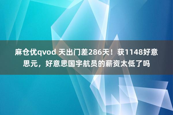 麻仓优qvod 天出门差286天！获1148好意思元，好意思国宇航员的薪资太低了吗