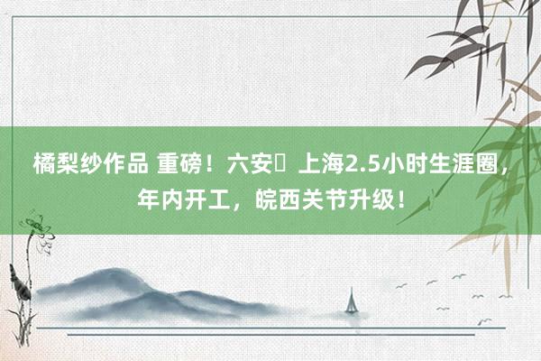 橘梨纱作品 重磅！六安⇋上海2.5小时生涯圈，年内开工，皖西关节升级！