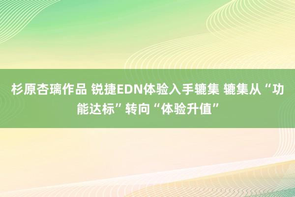 杉原杏璃作品 锐捷EDN体验入手辘集 辘集从“功能达标”转向“体验升值”