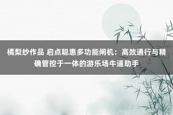 橘梨纱作品 启点聪惠多功能闸机：高效通行与精确管控于一体的游乐场牛逼助手