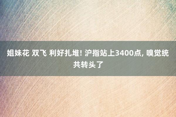 姐妹花 双飞 利好扎堆! 沪指站上3400点， 嗅觉统共转头了