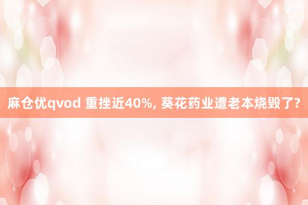 麻仓优qvod 重挫近40%， 葵花药业遭老本烧毁了?