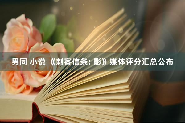 男同 小说 《刺客信条: 影》媒体评分汇总公布