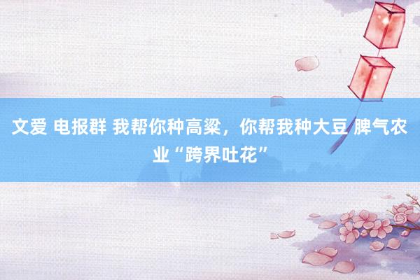 文爱 电报群 我帮你种高粱，你帮我种大豆 脾气农业“跨界吐花”