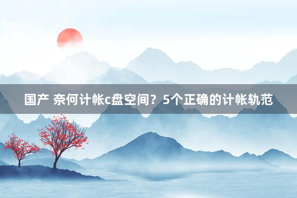 国产 奈何计帐c盘空间？5个正确的计帐轨范