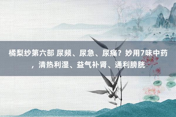 橘梨纱第六部 尿频、尿急、尿痛？妙用7味中药，清热利湿、益气补肾、通利膀胱